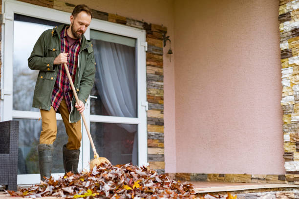 Attic Cleanout Services in Ames, IA